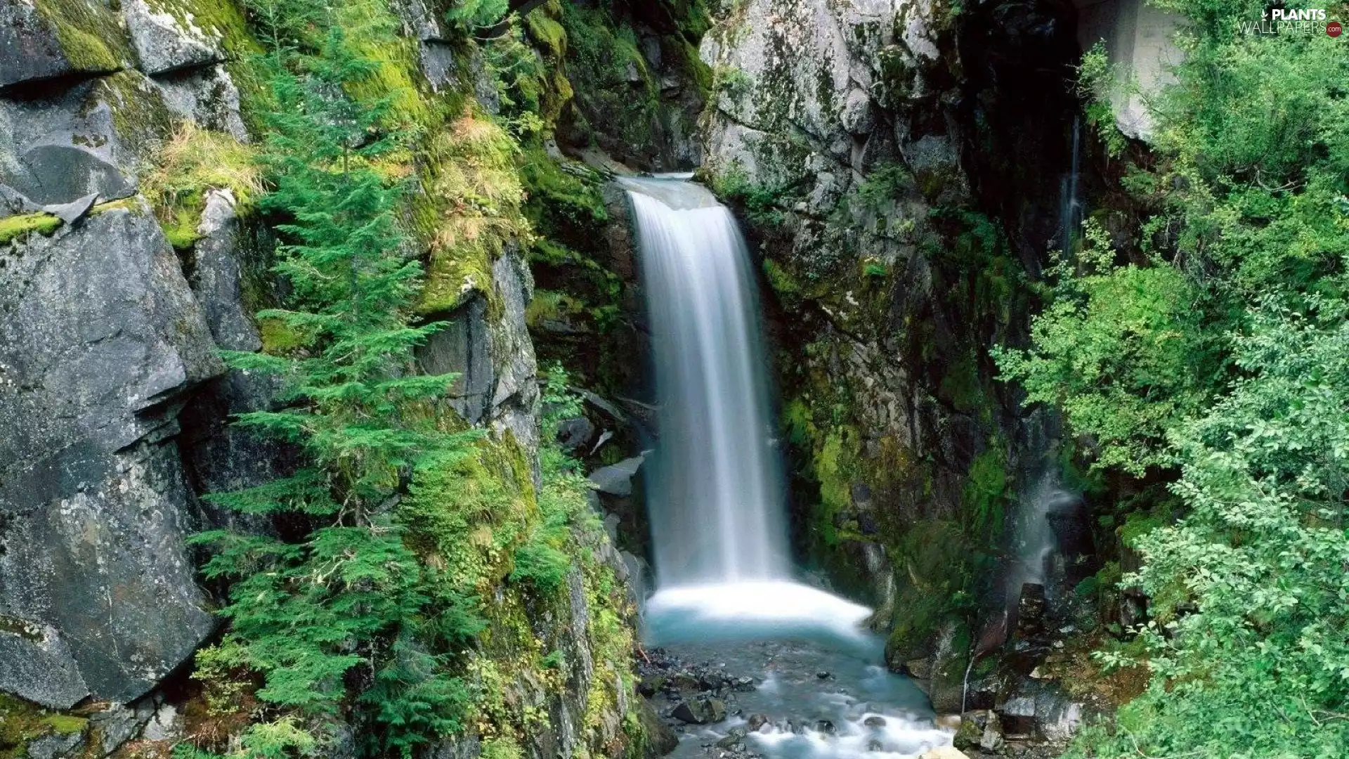 waterfall, trees, viewes, rocks