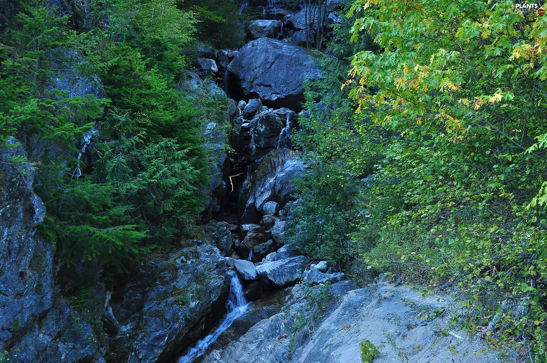 waterfall, trees, viewes, rocks