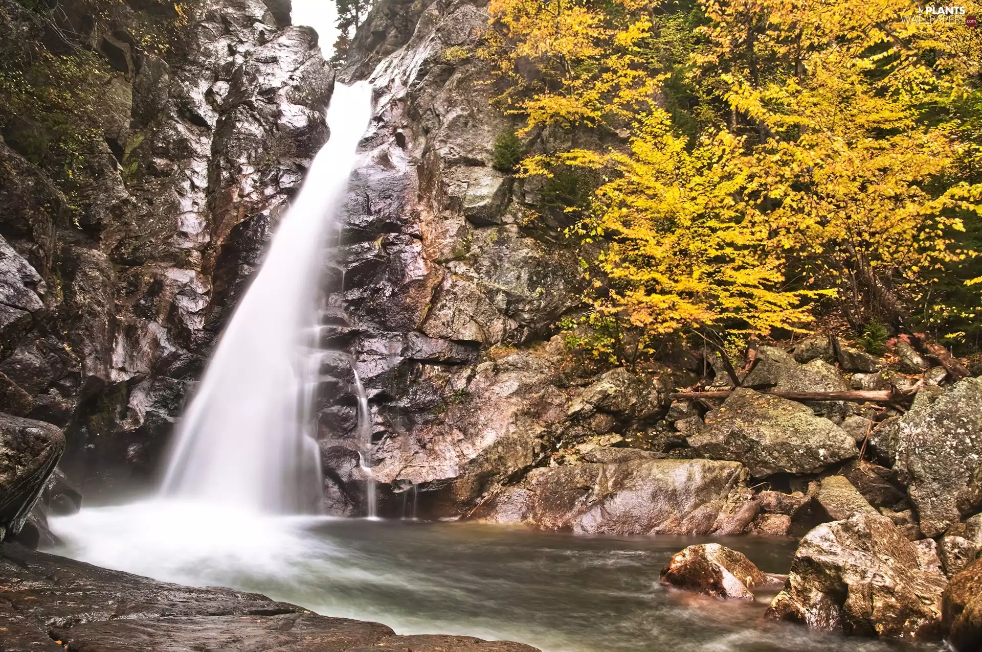 waterfall, trees, viewes, rocks