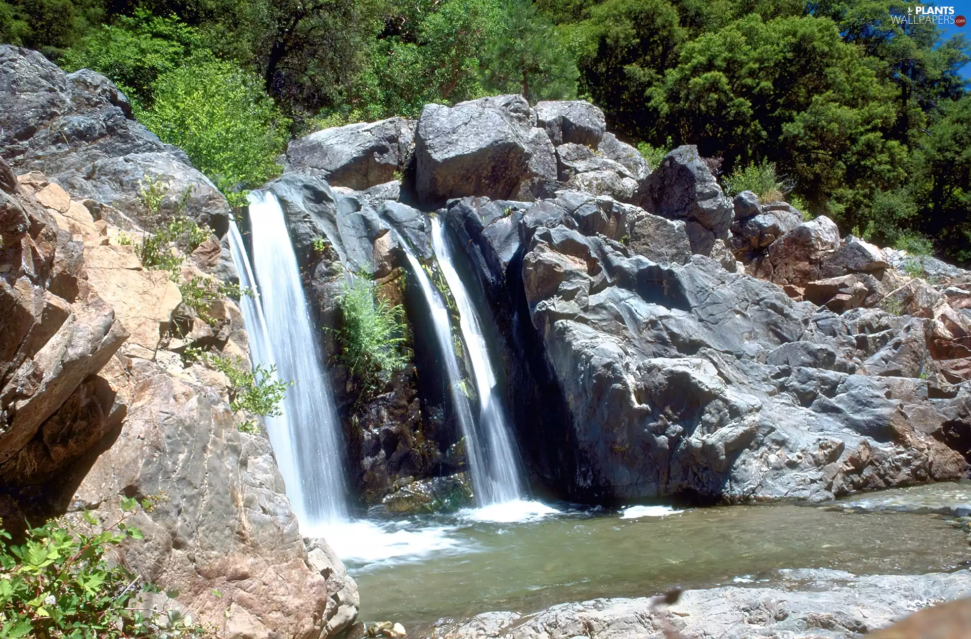 waterfall, trees, viewes, rocks