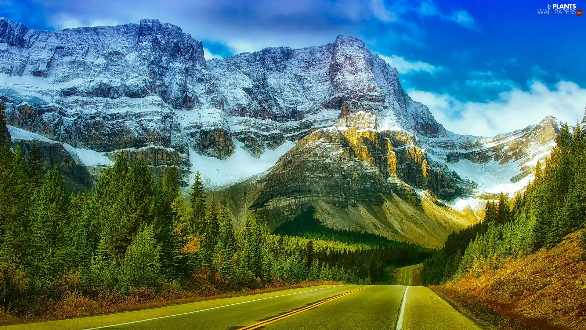 trees, viewes, Canada, Way, Alberta, forest, rocky mountains, Banff National Park