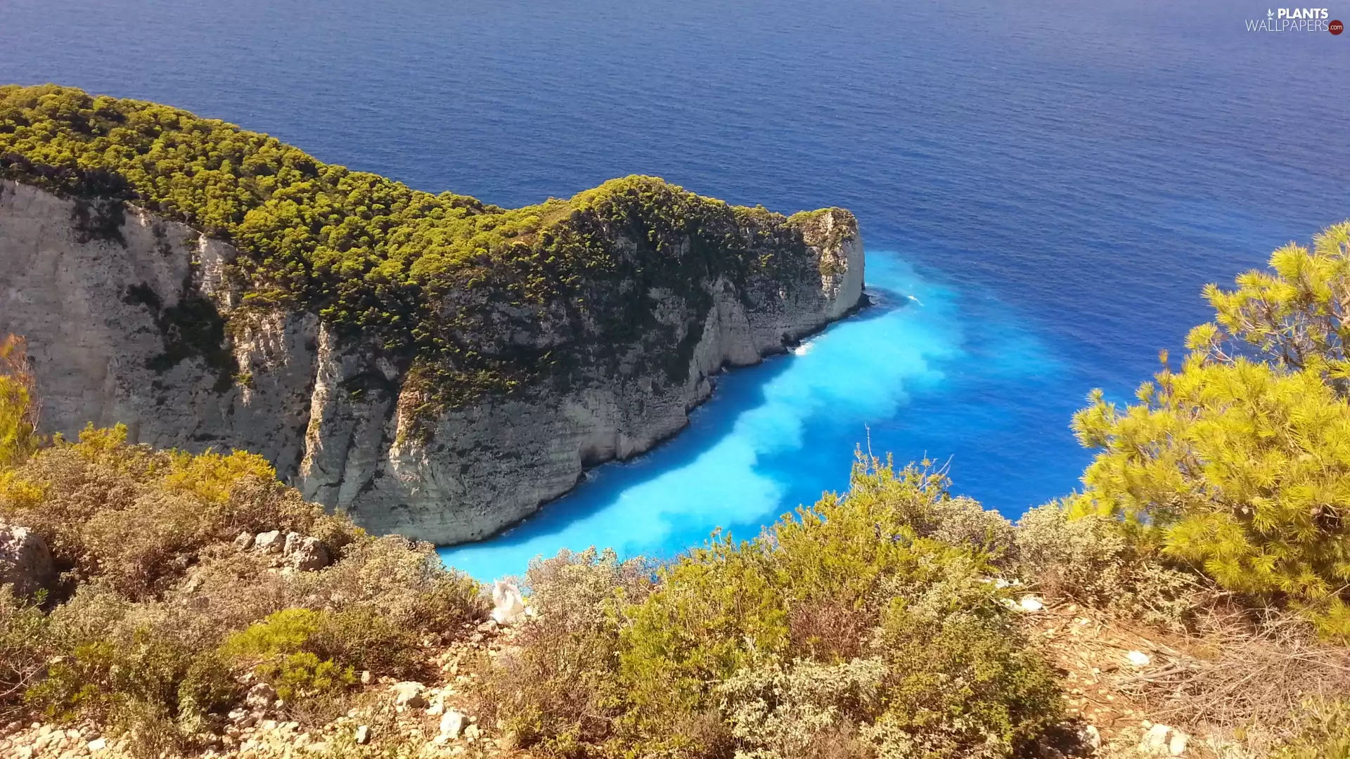 sea, Coast, Bush, Rocky