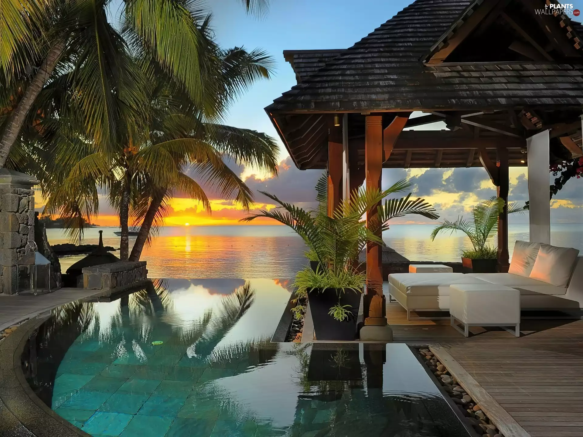 roofing, deck chair, holiday, sea, sun, Palms, Pool, west