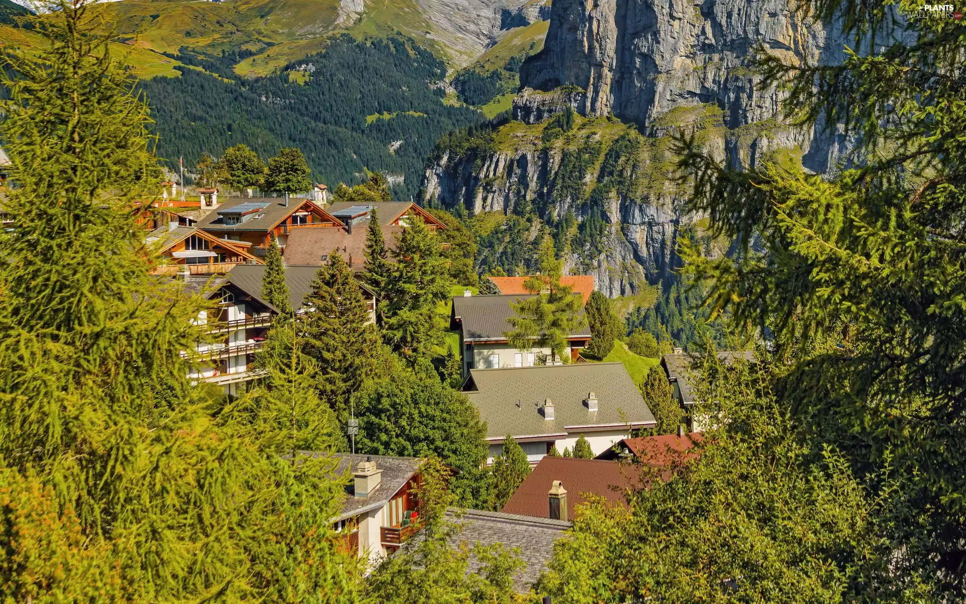 Houses, roofs, trees, viewes, Mountains