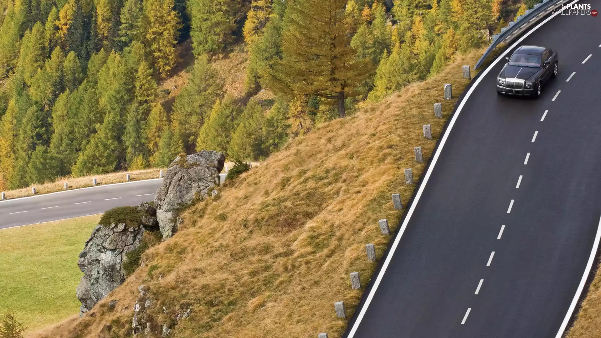 Way, viewes, Rolls-Royce Phantom Coupe, trees