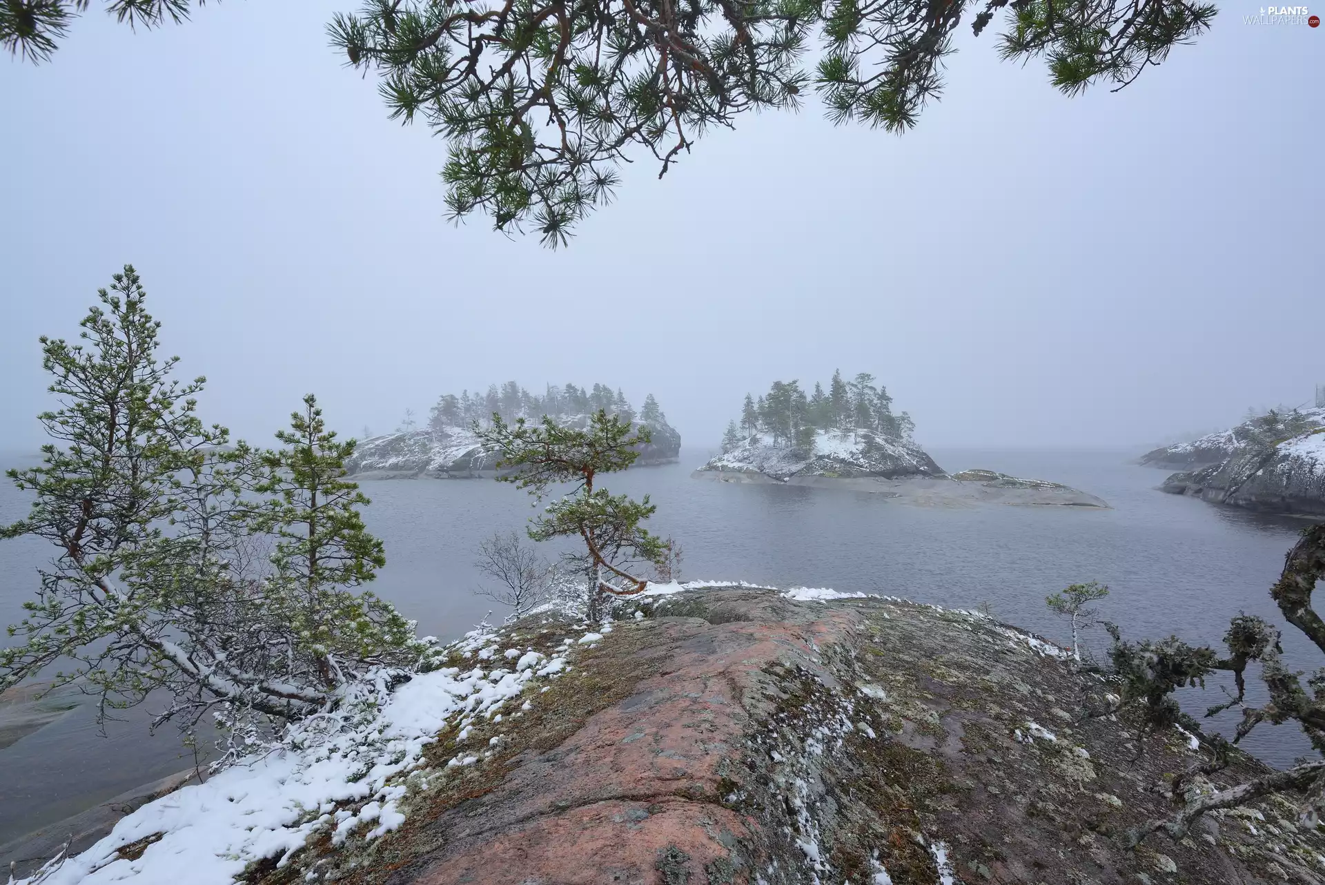 viewes, Islets, Fog, trees, Lake Ladoga, snow, Russia