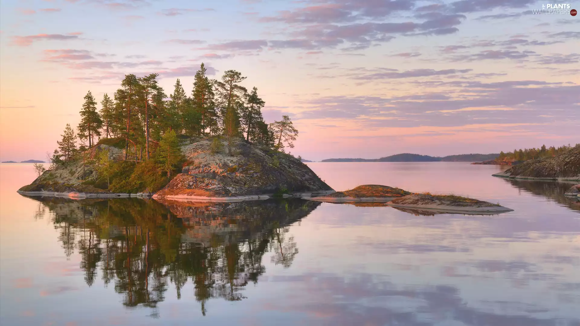 trees, Rocks, Karelia, Islet, Lake Ladoga, viewes, Russia