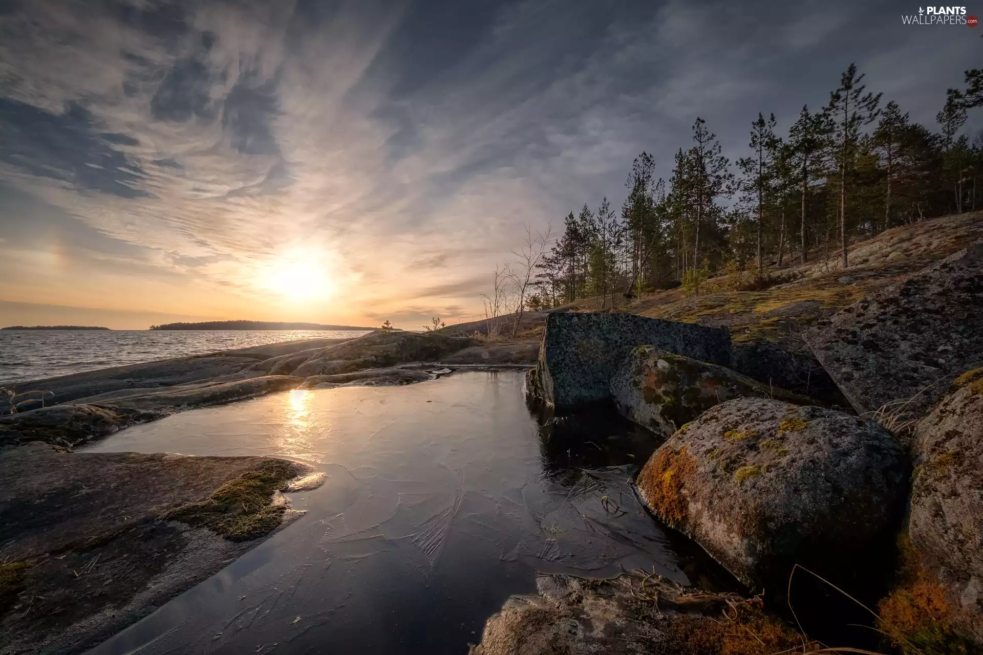 scarp, Lake Ladoga, viewes, rocks, Sunrise, trees, Russia