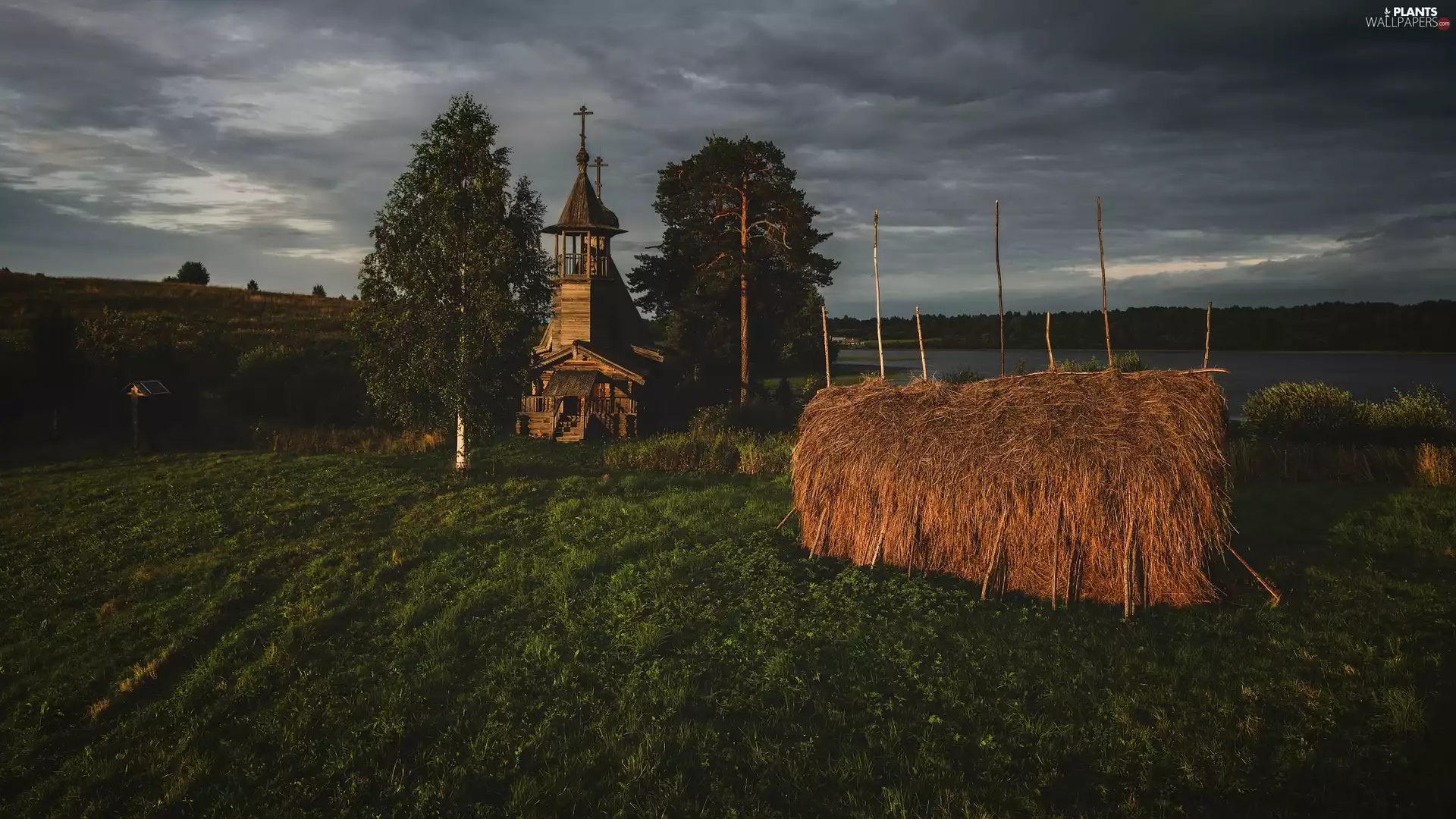 viewes, Russia, Meadow, trees, Cerkiew