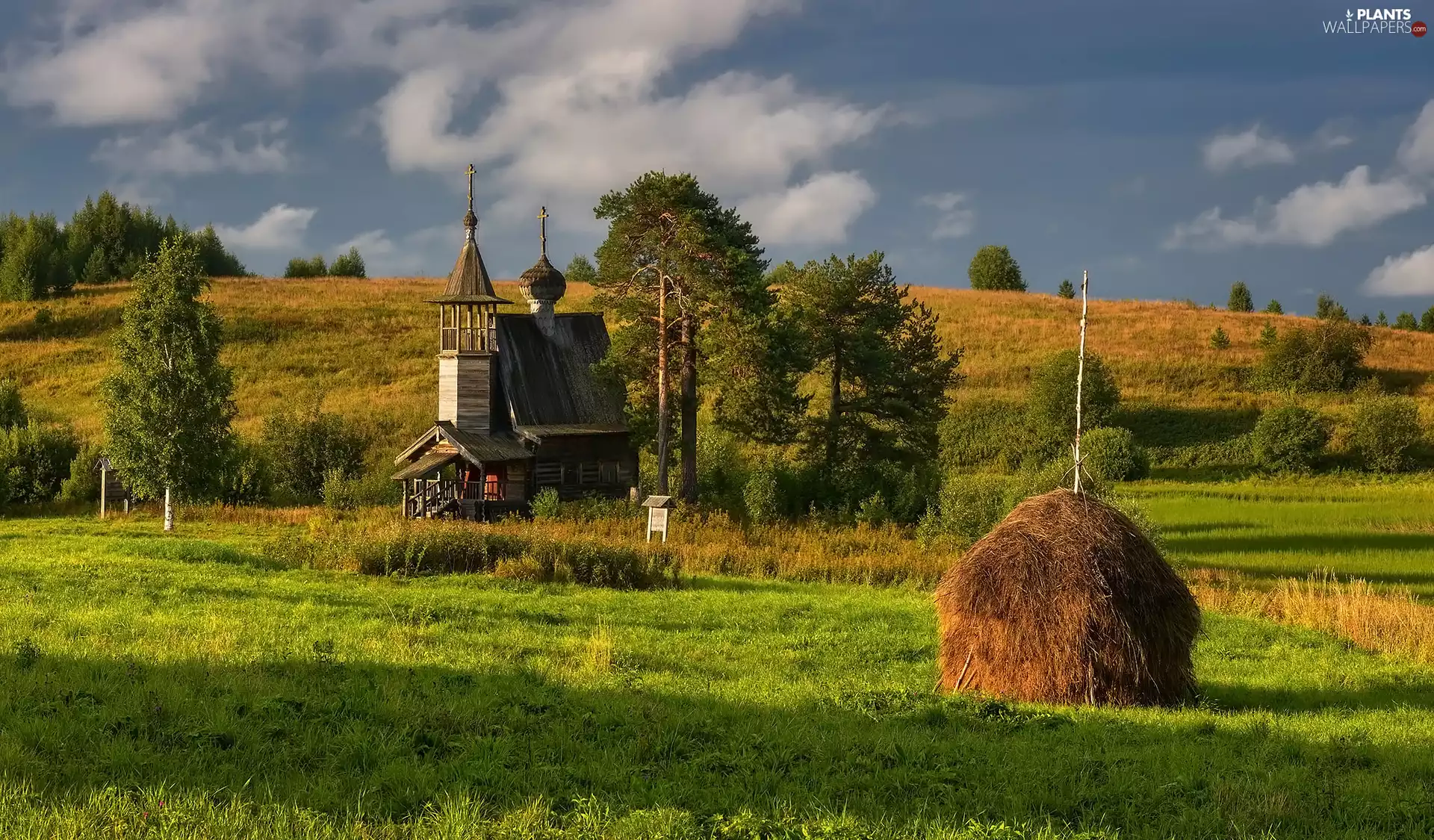 Hill, Cerkiew, viewes, Russia, trees, Meadow