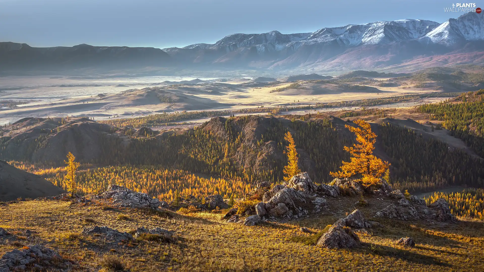 viewes, autumn, Altai, Russia, Mountains, trees
