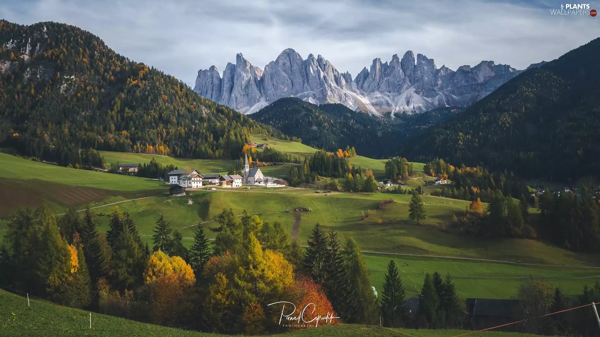 Santa Maddalena, Mountains, viewes, Dolomites, trees, country, Italy, Houses