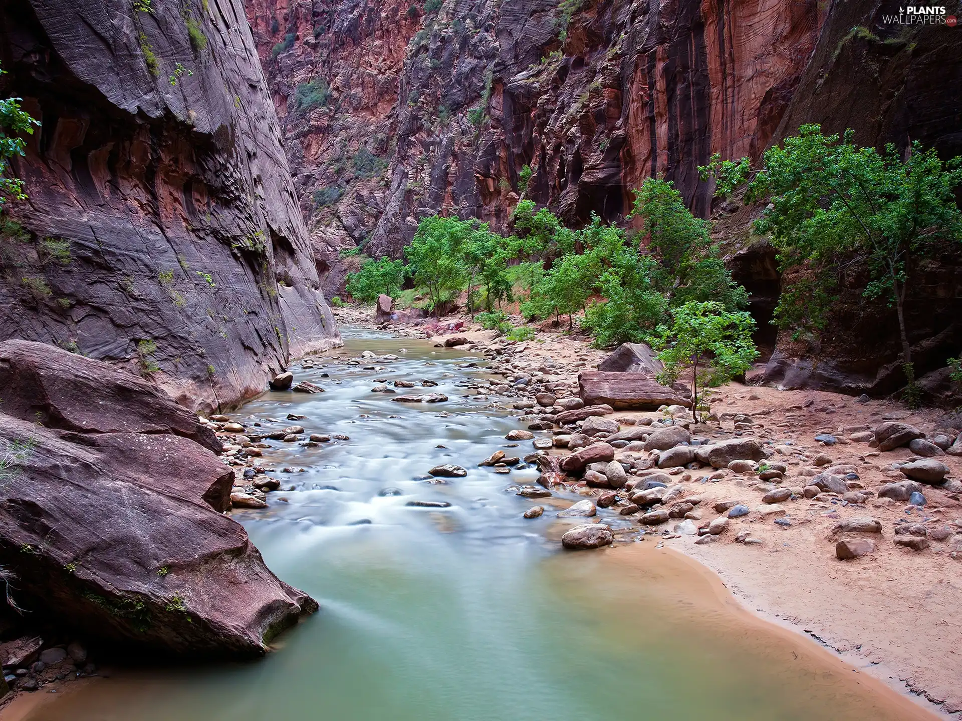 Mountains, brook, Sapling, rocks