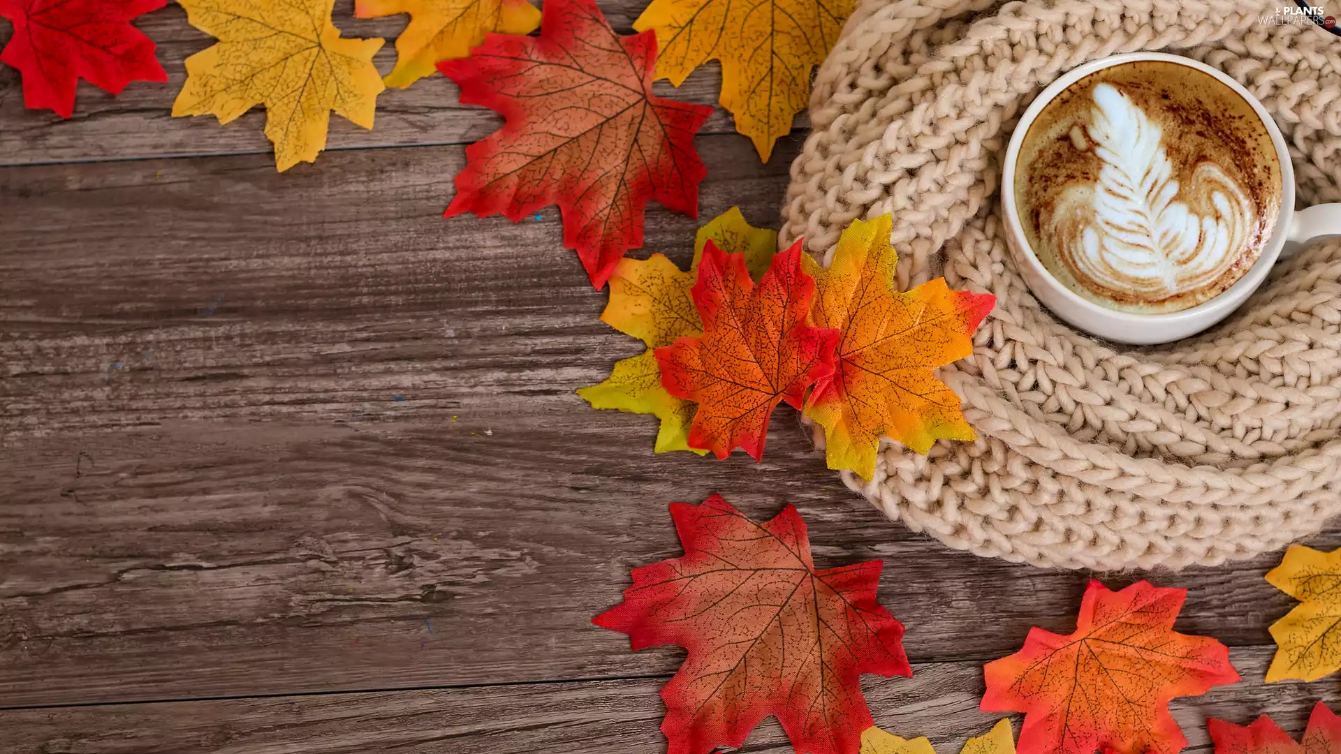 Artificial, coffee, maple, Scarf, cup, Leaf, boarding