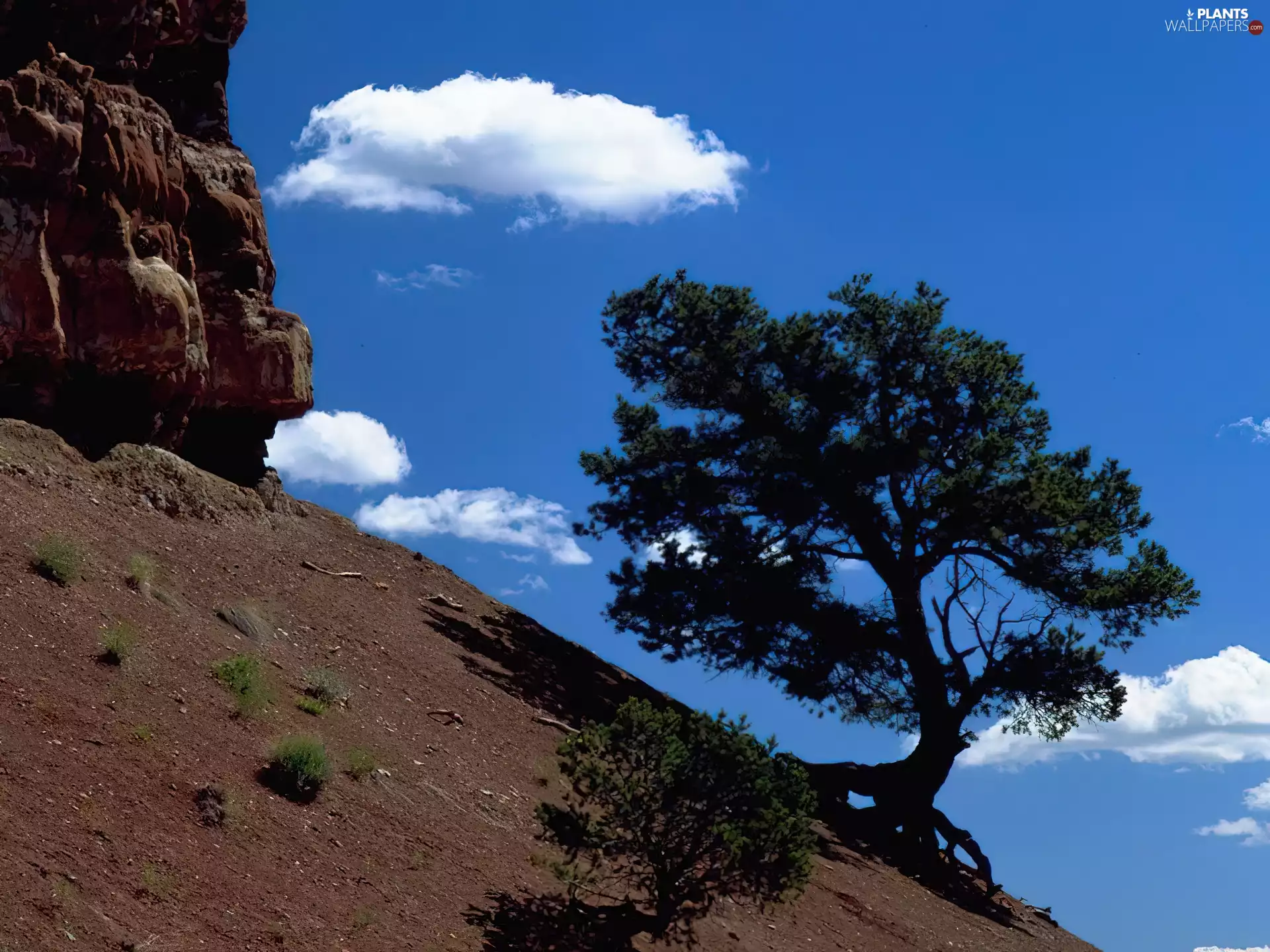 Sky, scarp, trees, viewes, mountains