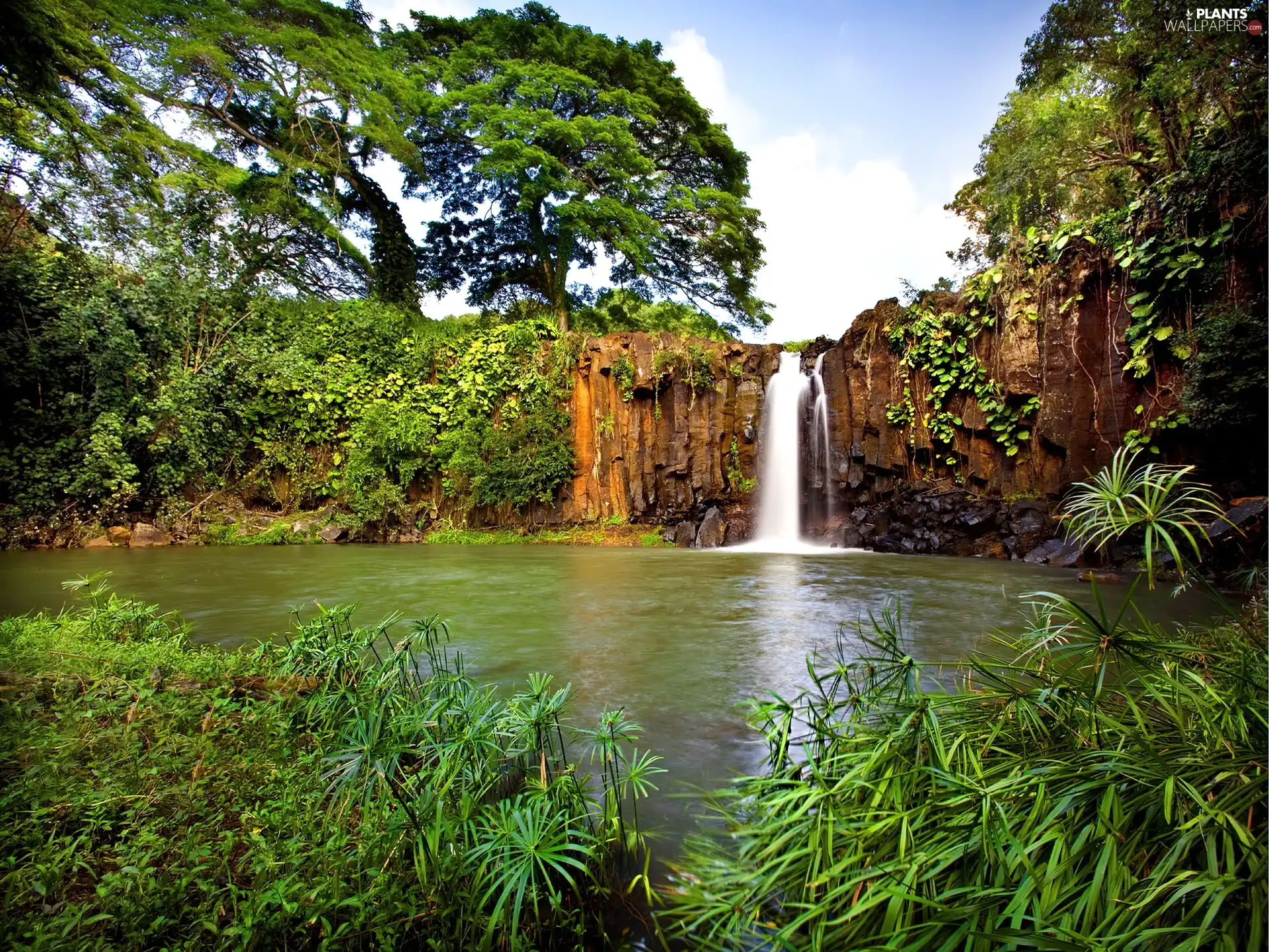 waterfall, viewes, scrub, trees