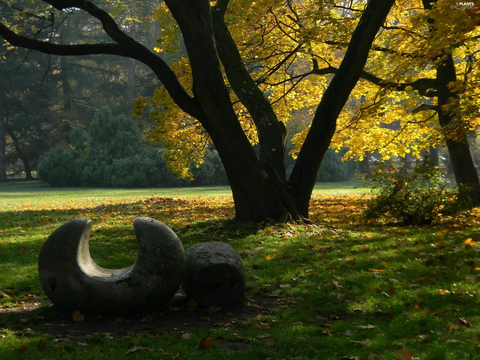 sculpture, Autumn, Park