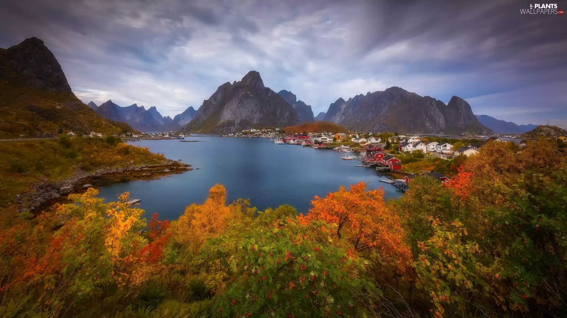 sea, Norway, Mountains, Islands, viewes, Houses, autumn, trees, Lofoten