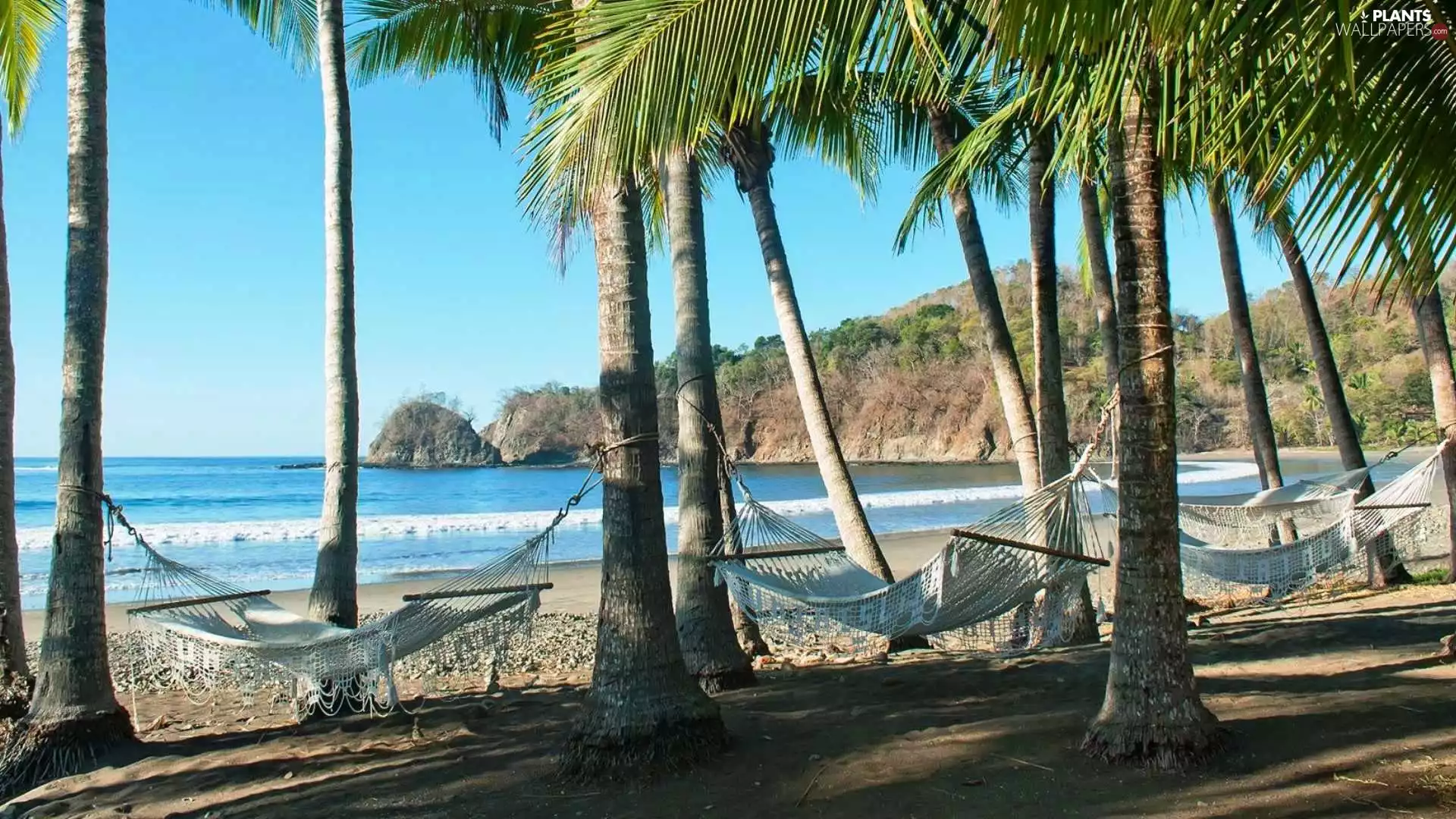 Beaches, Hammocks, Palms, sea