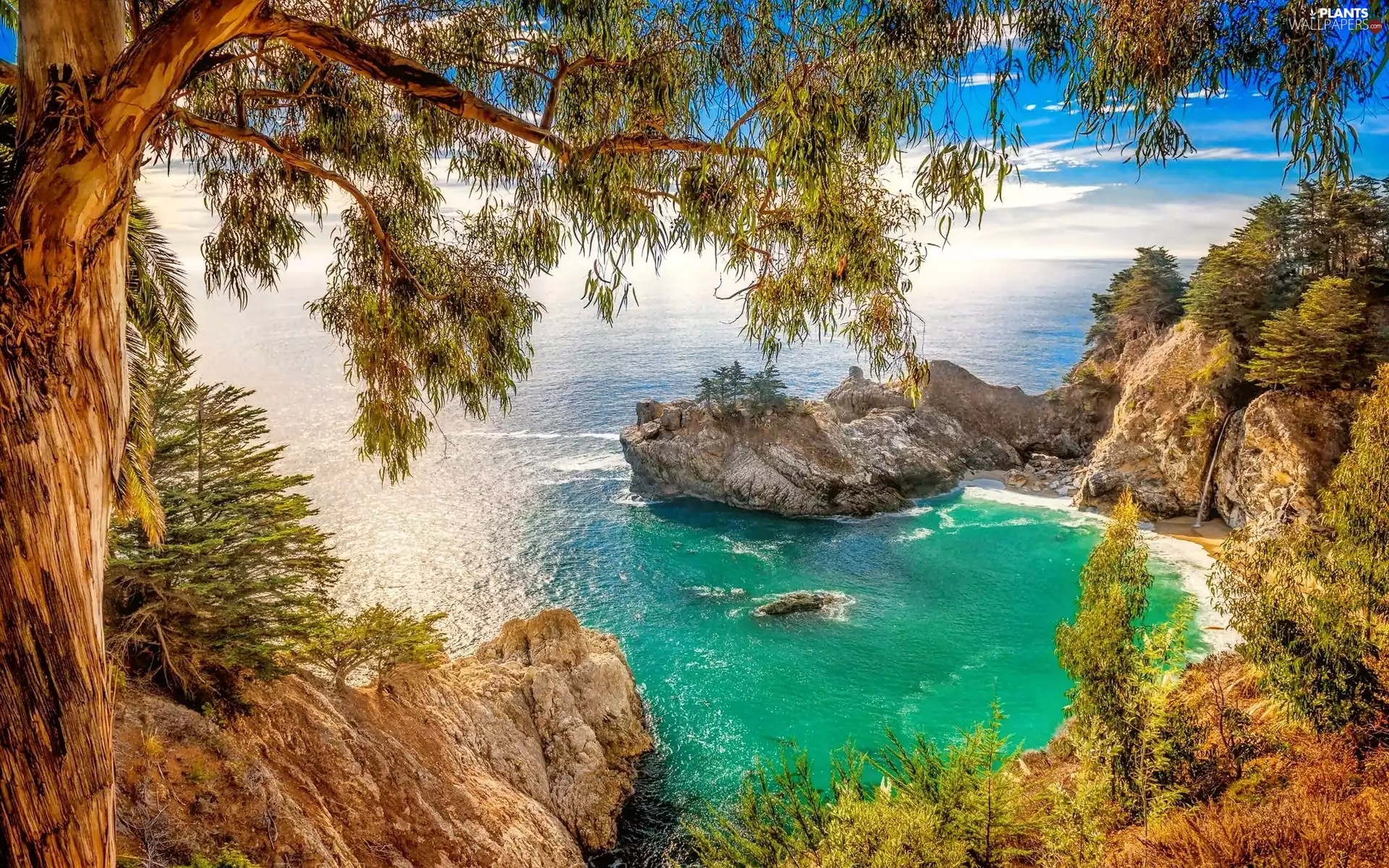 rocks, Coast, viewes, sea, trees, Gulf