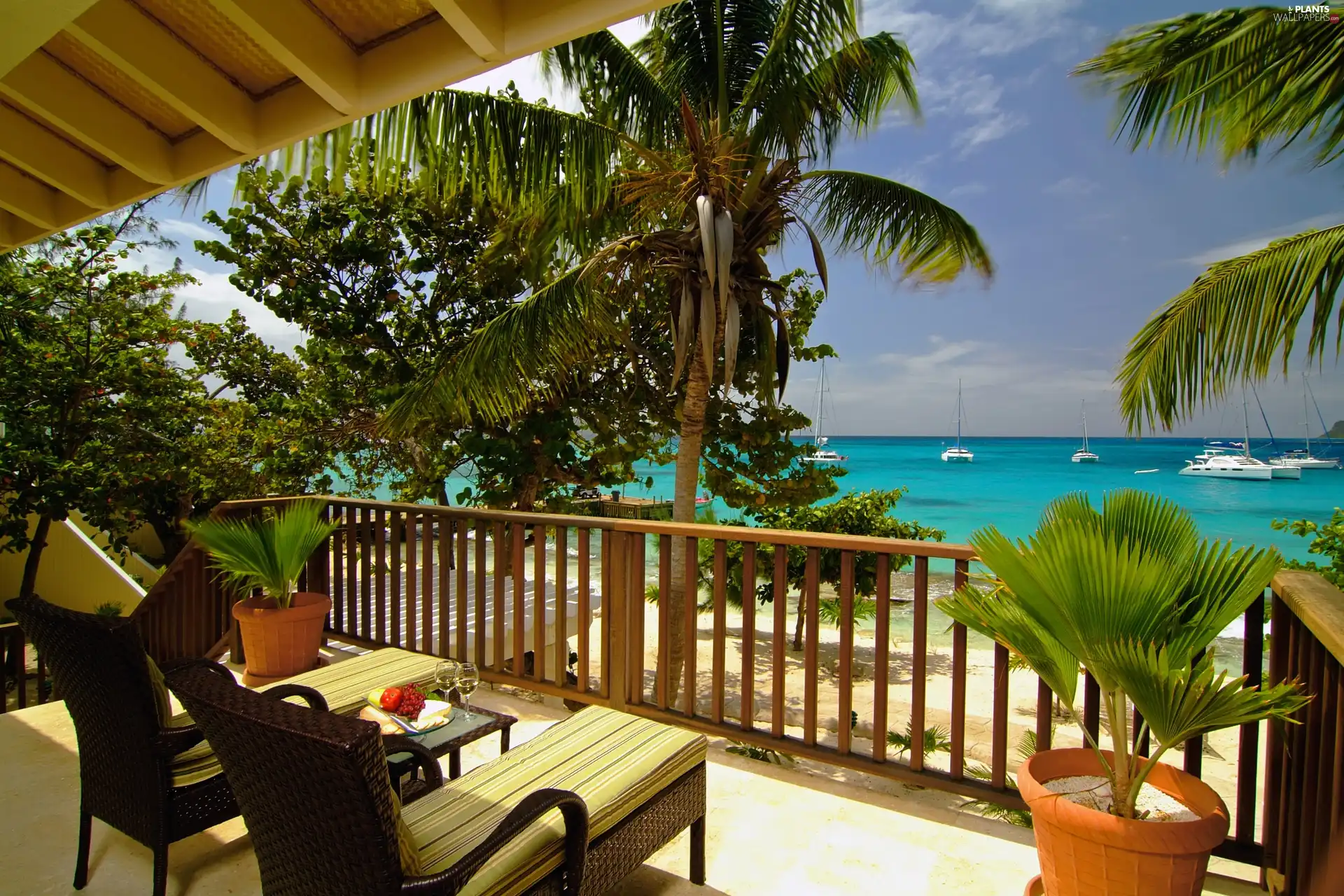 Hotel hall, Palms, sea, terrace