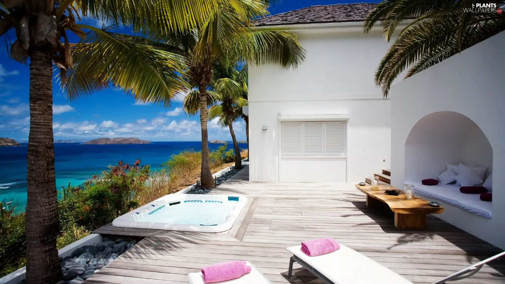 house, Palms, sea, terrace