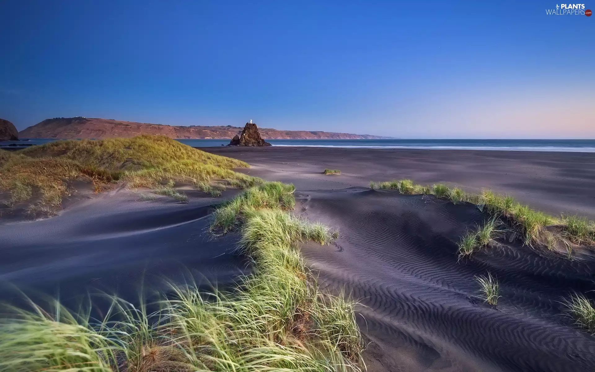 Beaches, Lighthouse, grass, sea, Dunes, maritime