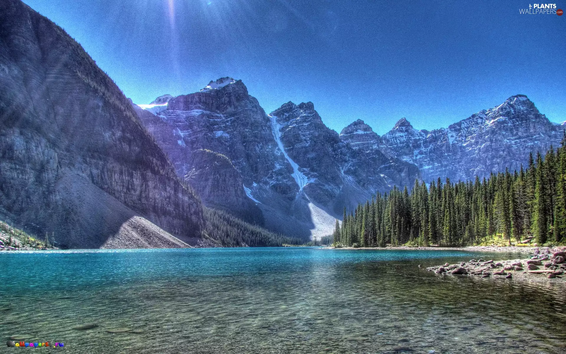 Mountains, trees, viewes, sea