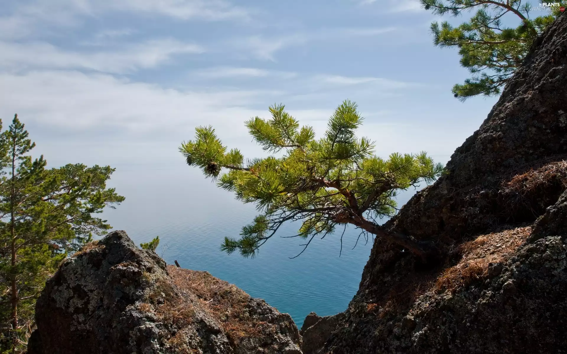 viewes, sea, rocks, trees, Mountains