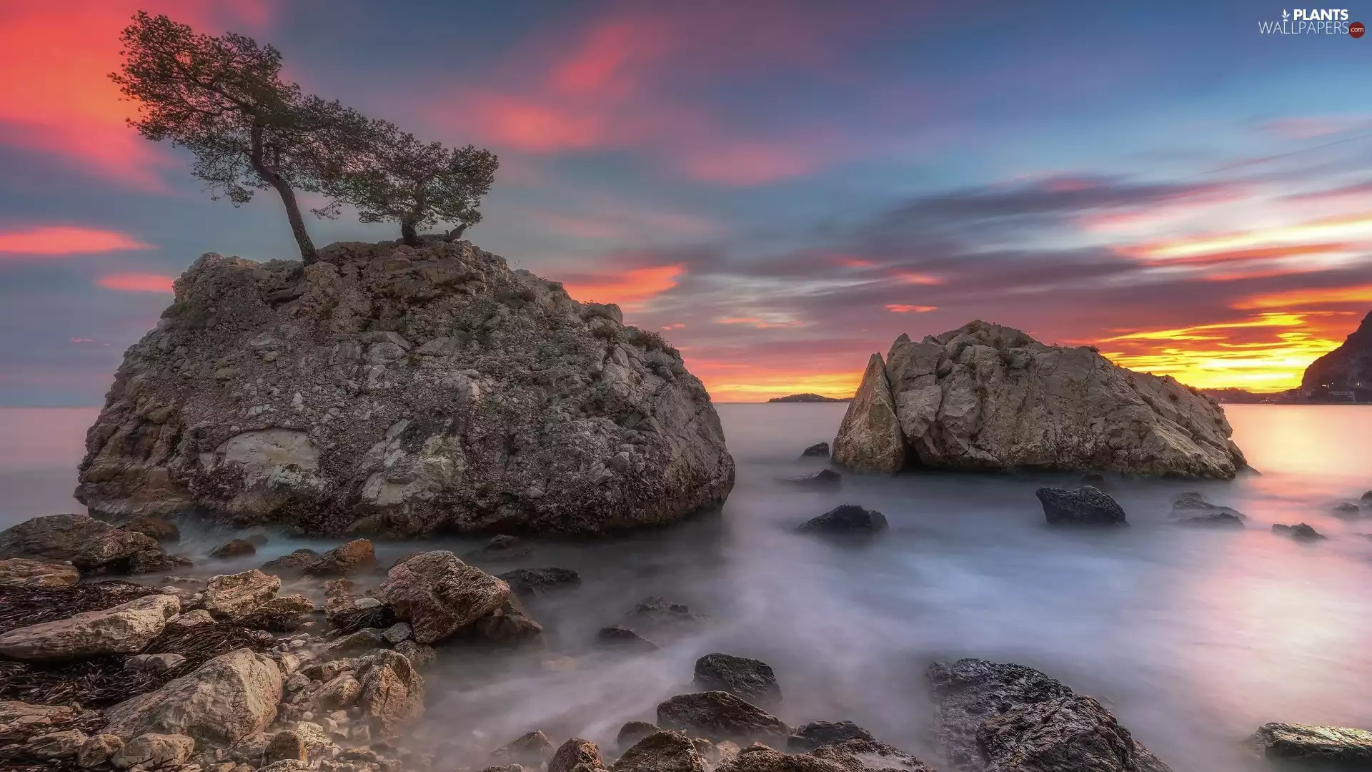Sunrise, rocks, trees, sea