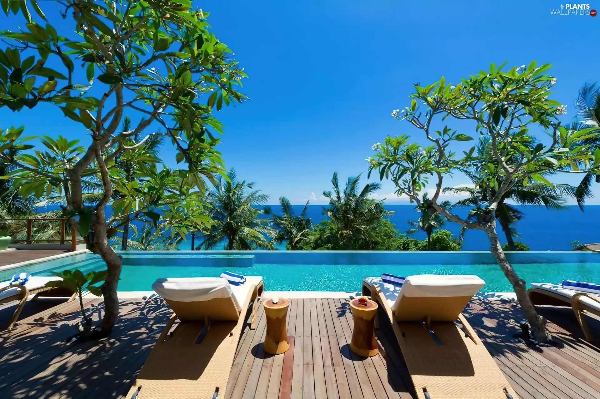 Pool, terrace, viewes, sea, trees, The hotel