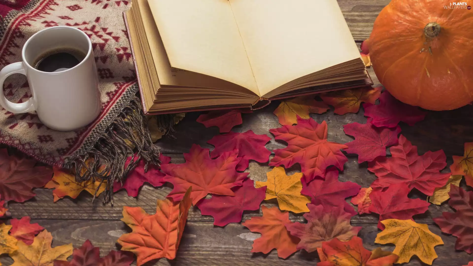 Leaf, Cup, pumpkin, shawl, coffee, Book, composition