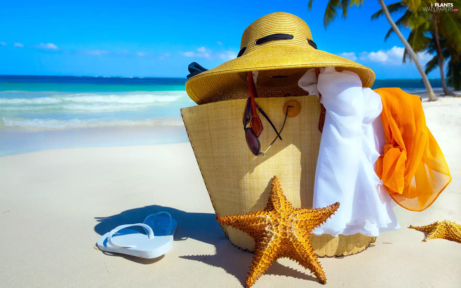 Palms, basket, summer, Hat, Tropical, sea, Beaches, Shells