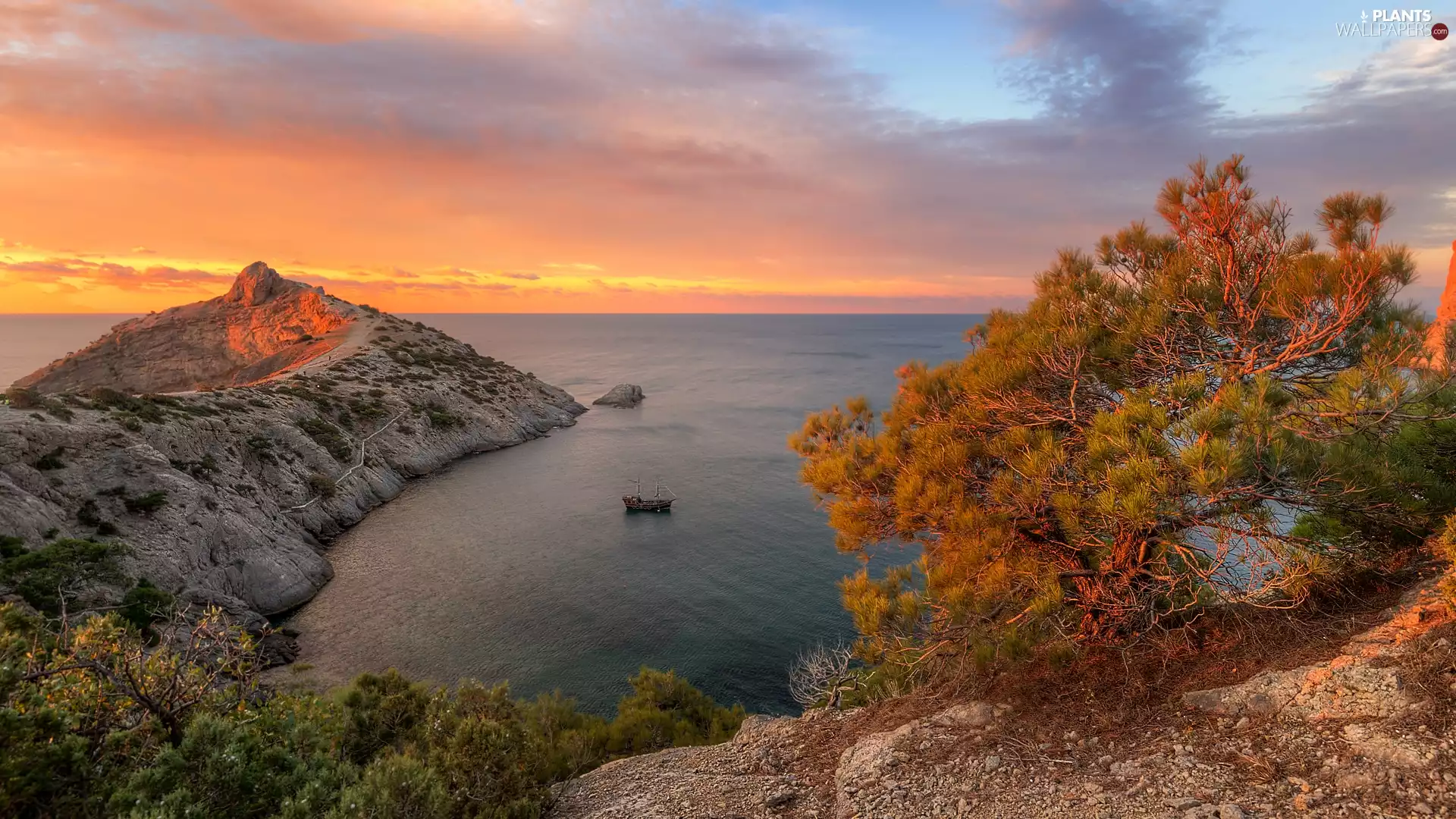trees, sea, creek, Ship, peninsula, Sunrise