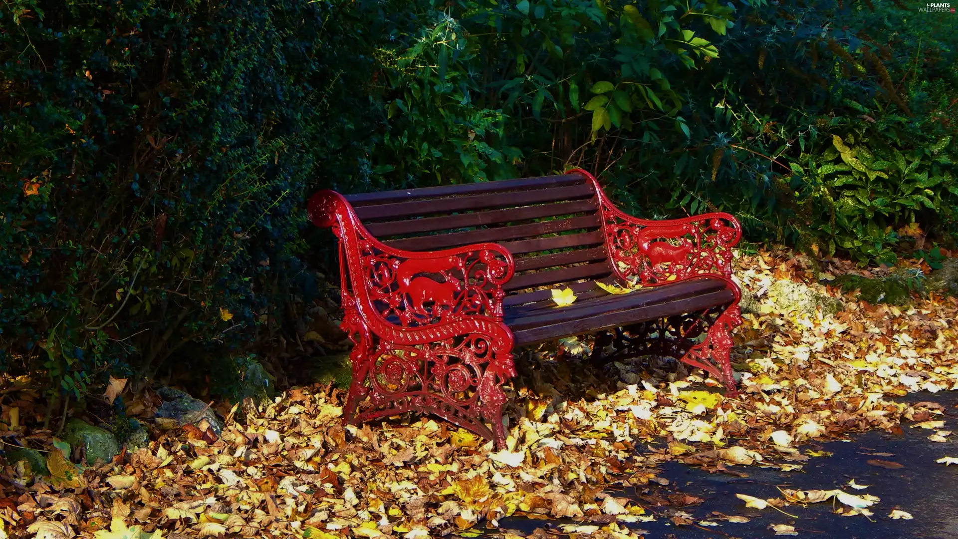 Bench, Leaf, autumn, Shrubs