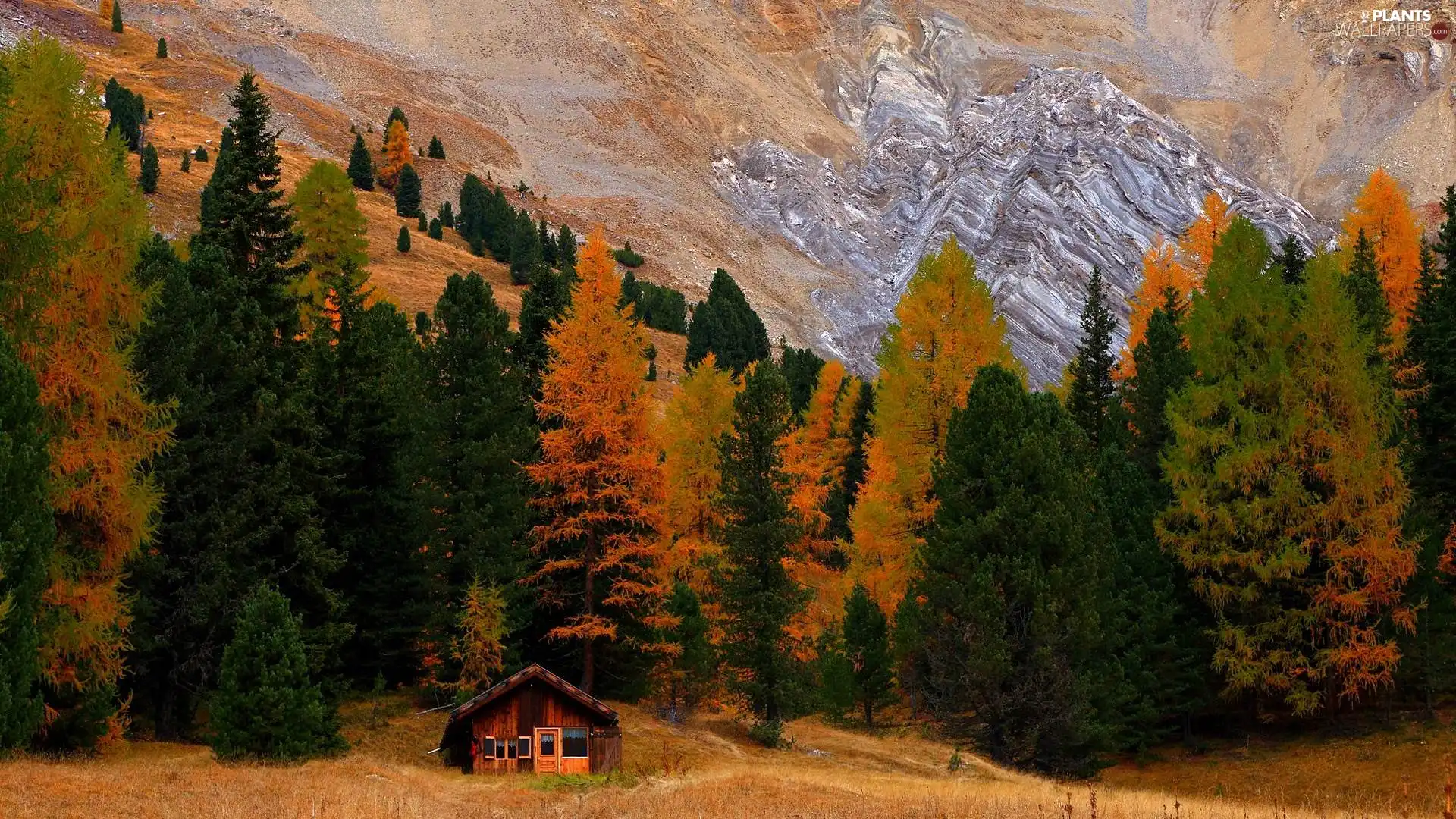 viewes, autumn, Hill-side, Mountains, house, trees