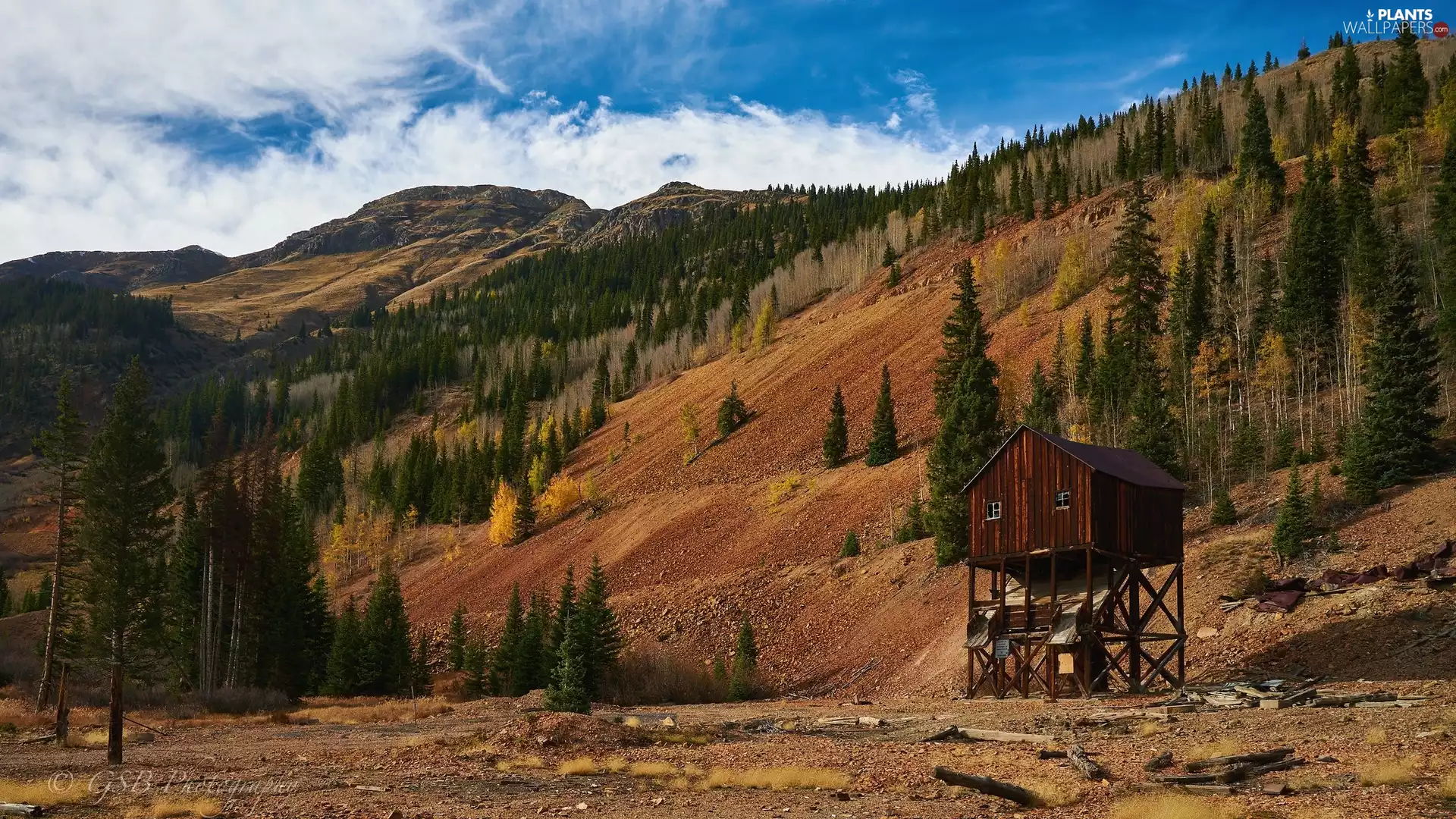 viewes, cote, Hill-side, trees, Mountains