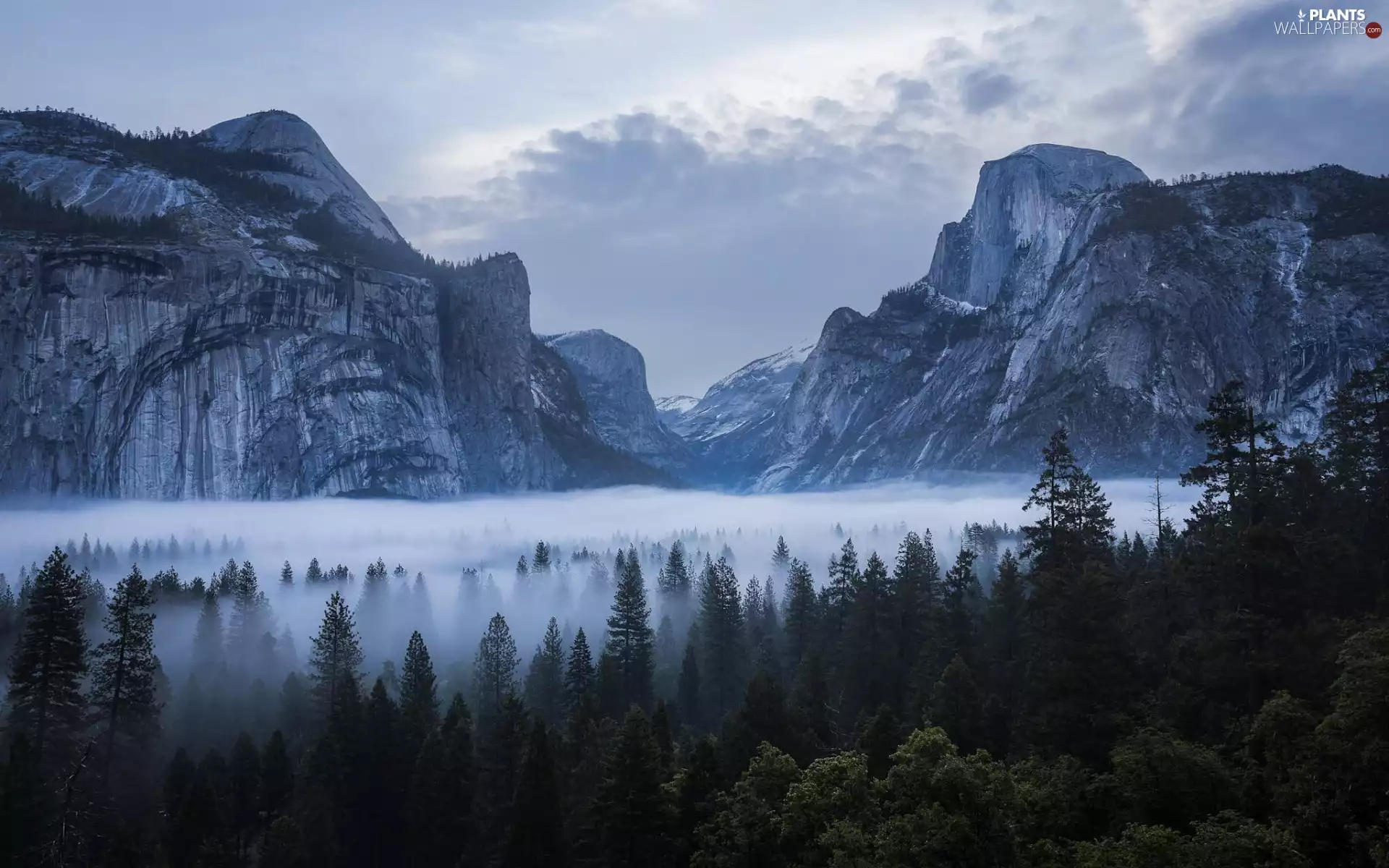 Mountains, The United States, rocks, Sierra Nevada, woods, Fog, viewes, Yosemite National Park, State of California, trees, clouds