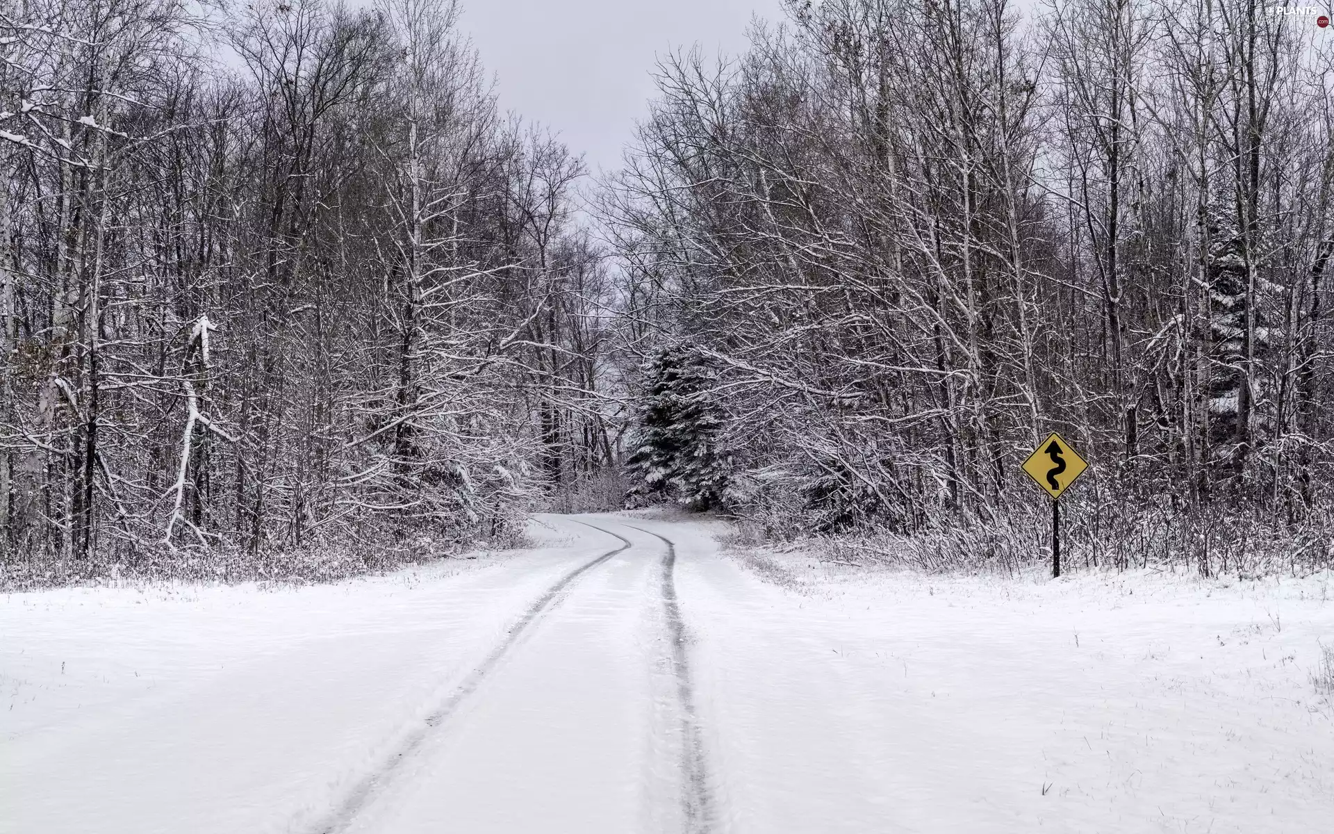 snow, viewes, nature, Path, trees, winter, road sign
