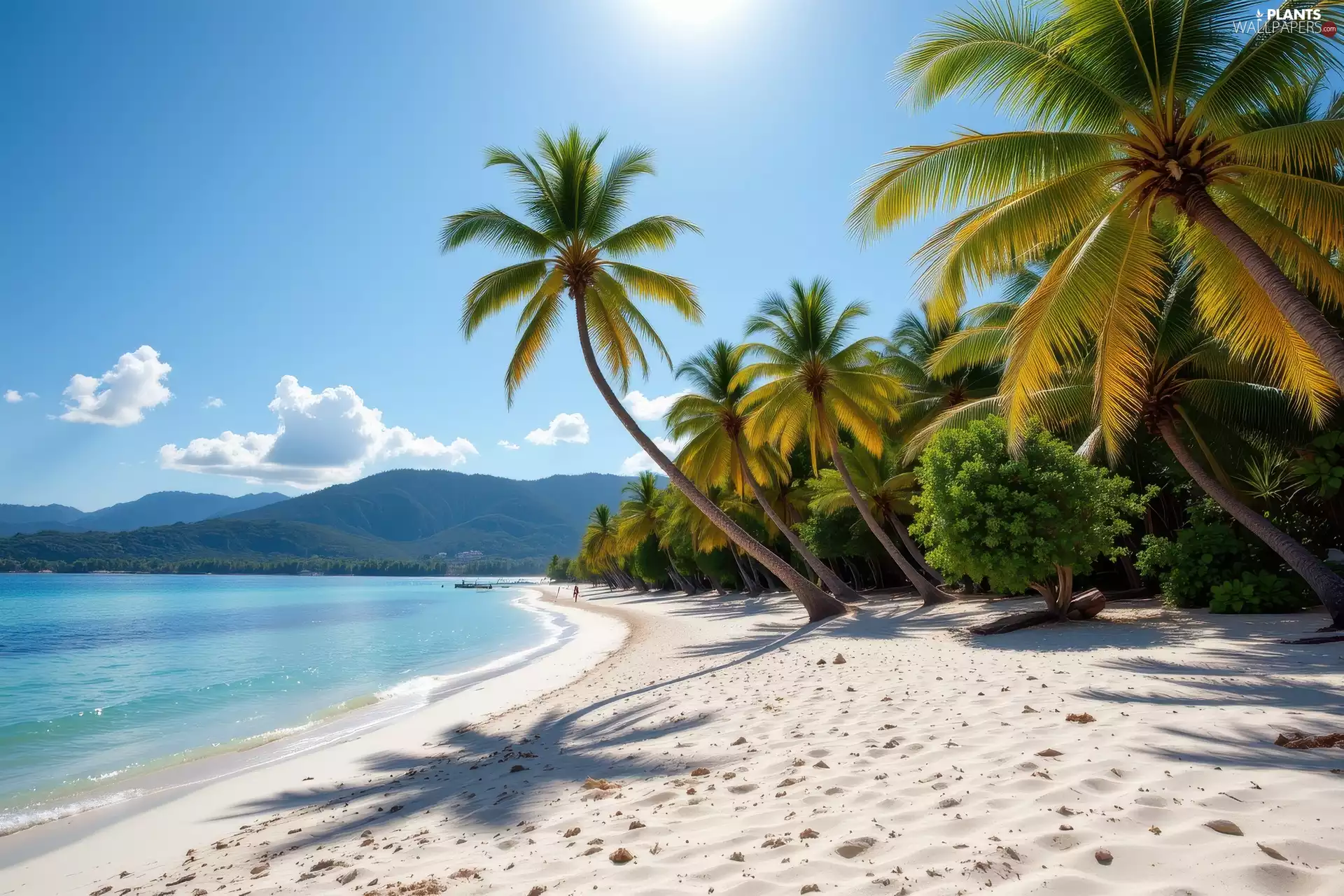 Mountains, Sky, Beaches, Palms, sea