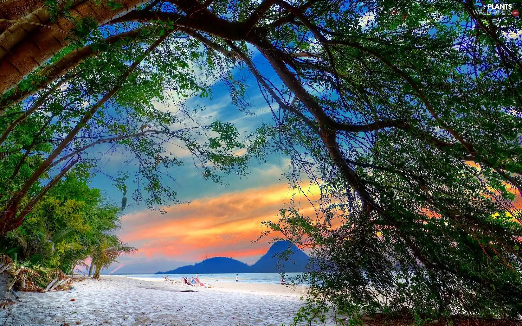 Beaches, Mountains, trees, Sky