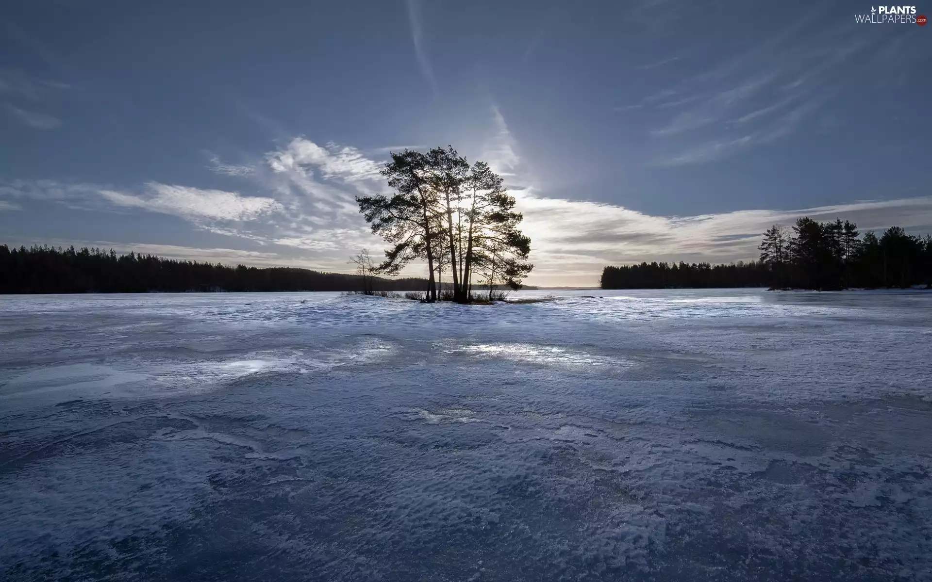 Sky, winter, Frost, trees, Icecream, morning, Island, lake, viewes