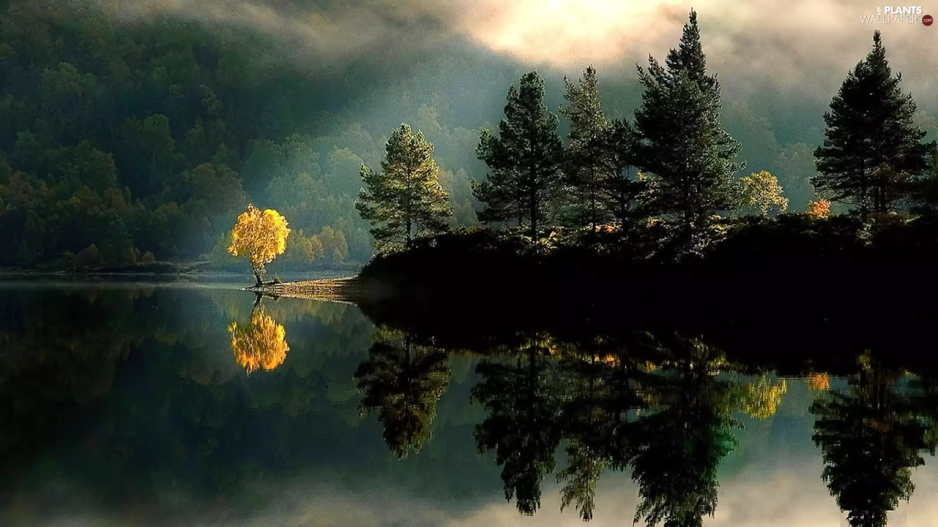 light breaking through sky, woods, lakes