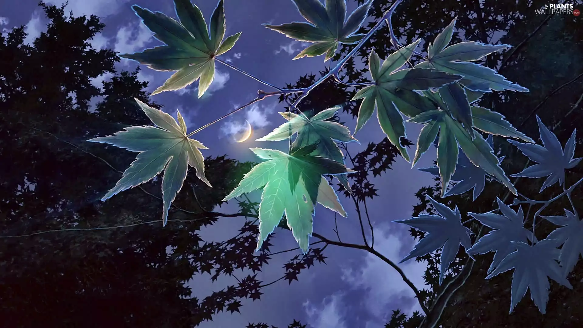 Leaf, moon, Dusk, Sky