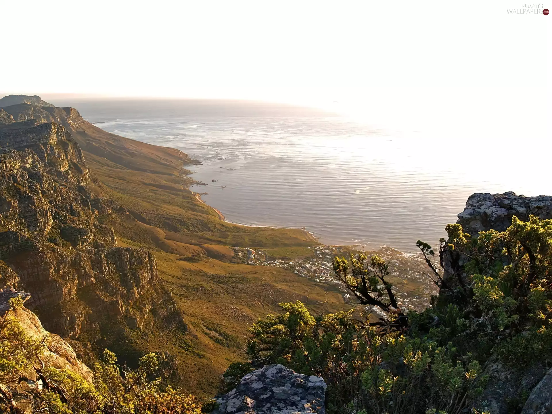 Mountains, sea, Bush, Sky