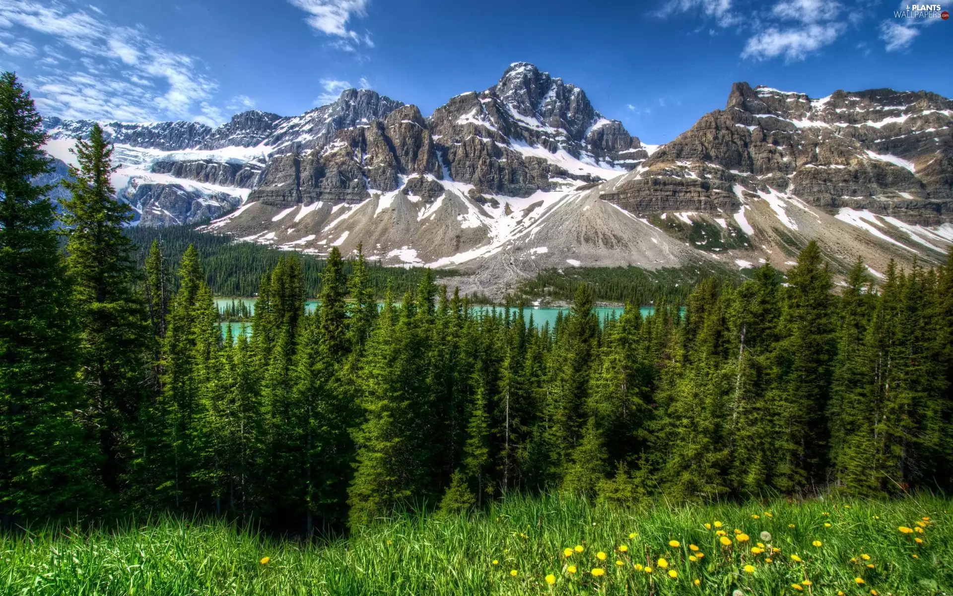 Mountains, Meadow, clouds, Sky