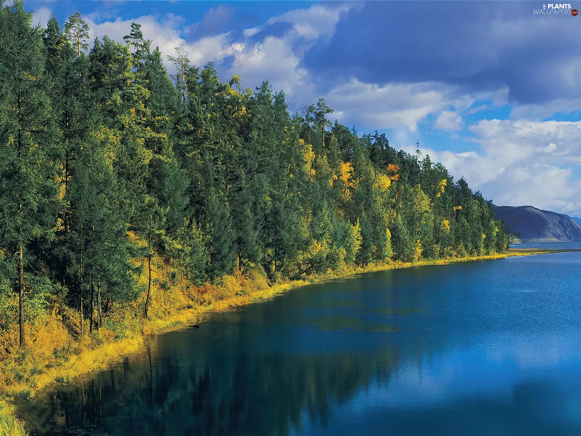 viewes, Sky, Mountains, trees, lake