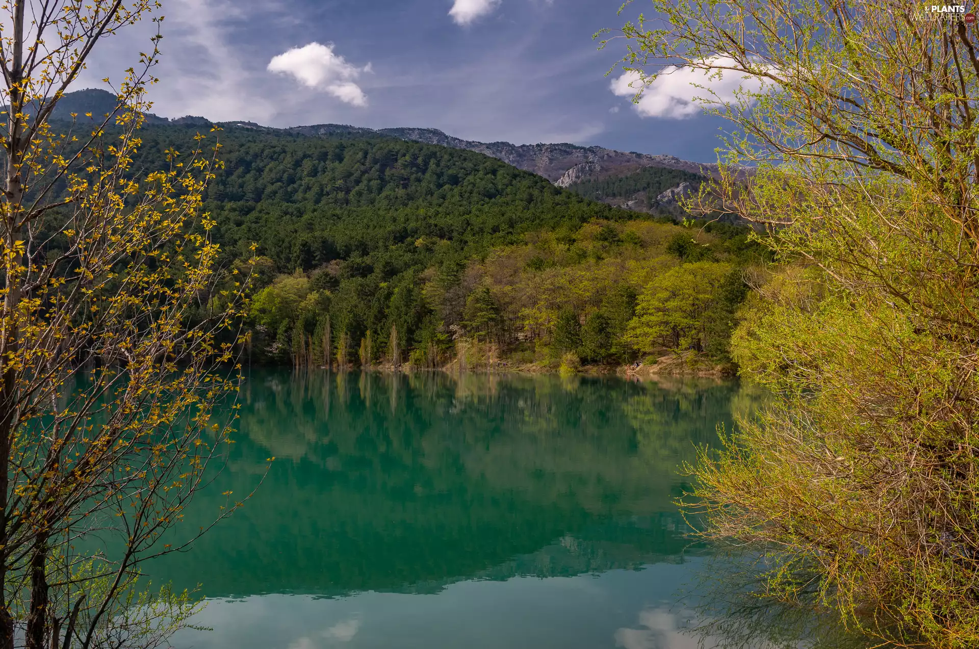 forest, lake, viewes, Sky, trees, Mountains