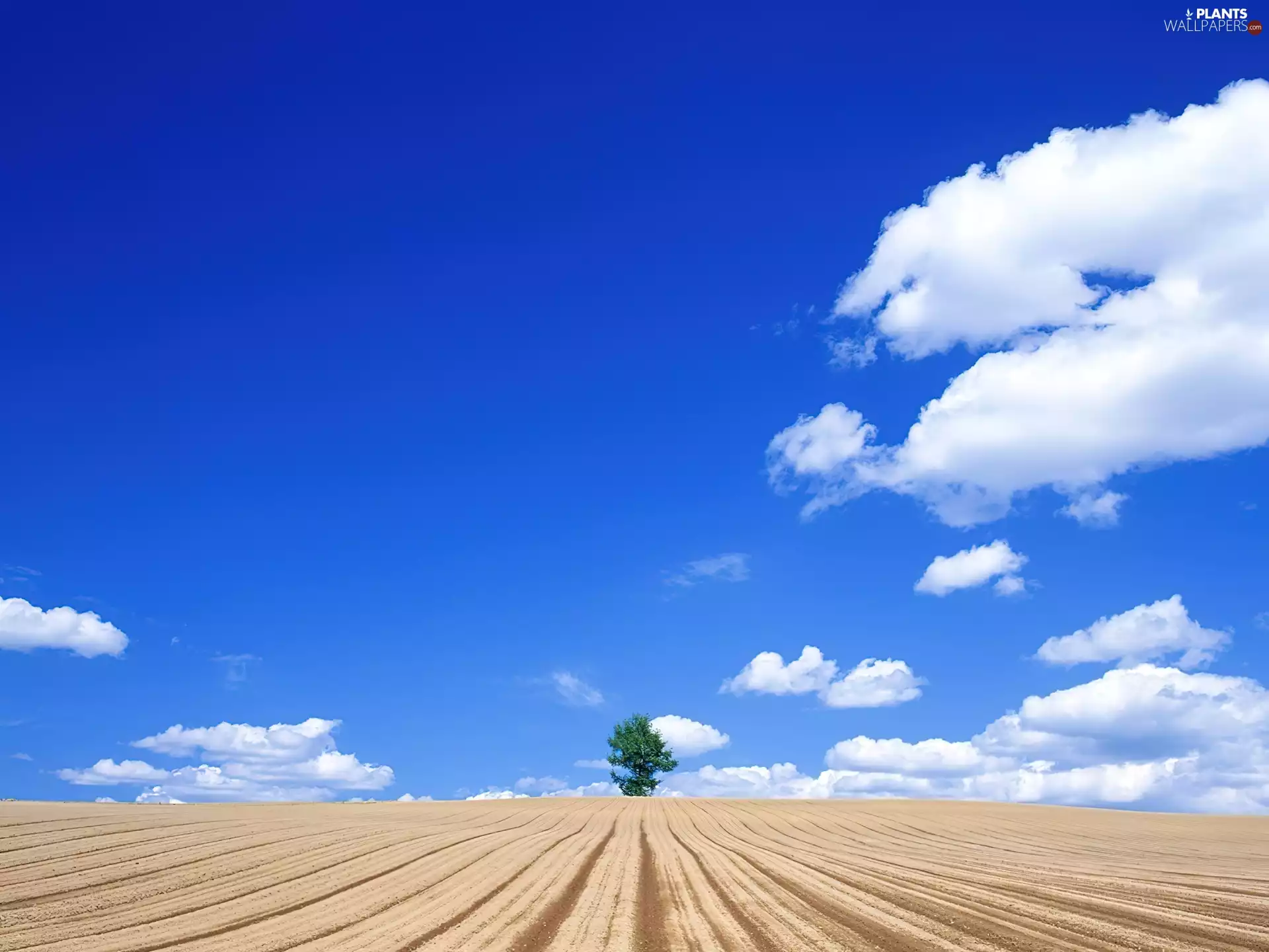 blue, Sky, Orna, trees, land