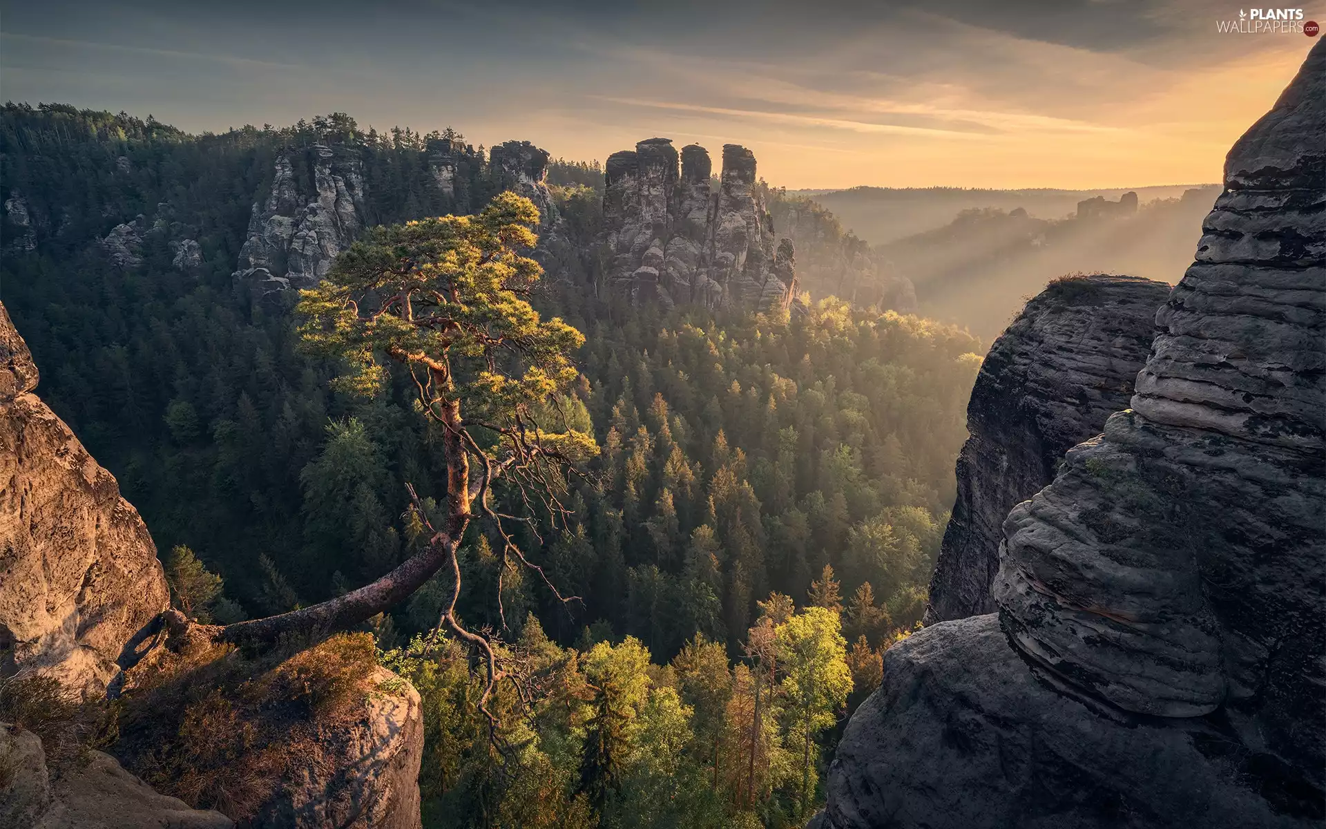 trees, Saxon Switzerland National Park, light breaking through sky, rocks, Děčínská vrchovina, forest, Germany